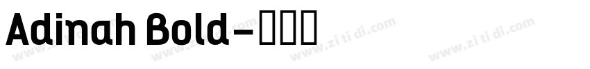 Adinah Bold字体转换